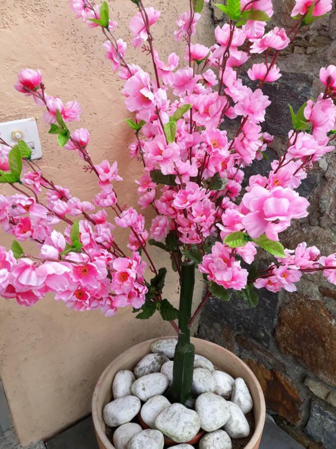 Holiday Home Casa Stefi Piazzogna Dış mekan fotoğraf